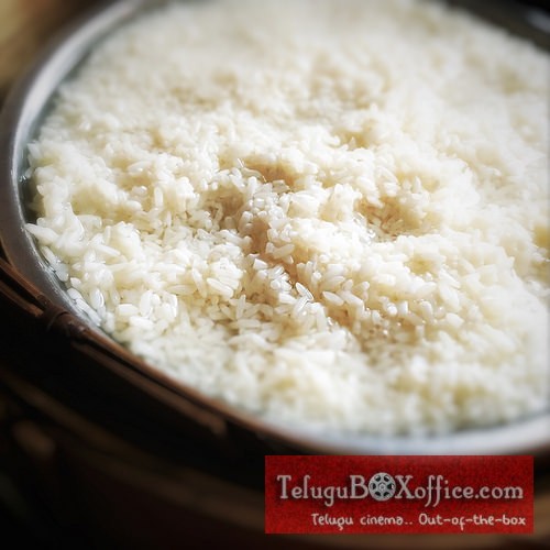 SHOCKING Disadvantages of Rice You NEVER Knew!